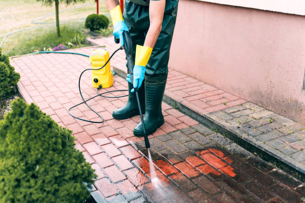 Best House Exterior Washing  in Center Line, MI